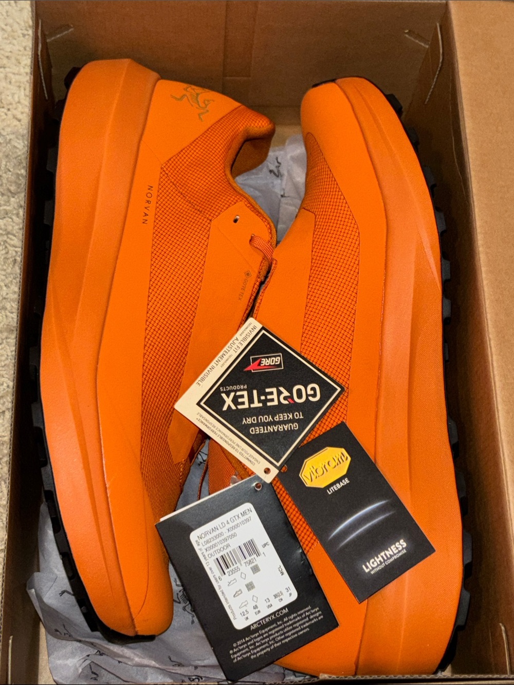 Arc'teryx Norvan LD4 GTX Trail running